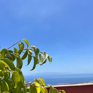 Narancsvirag Apartamento